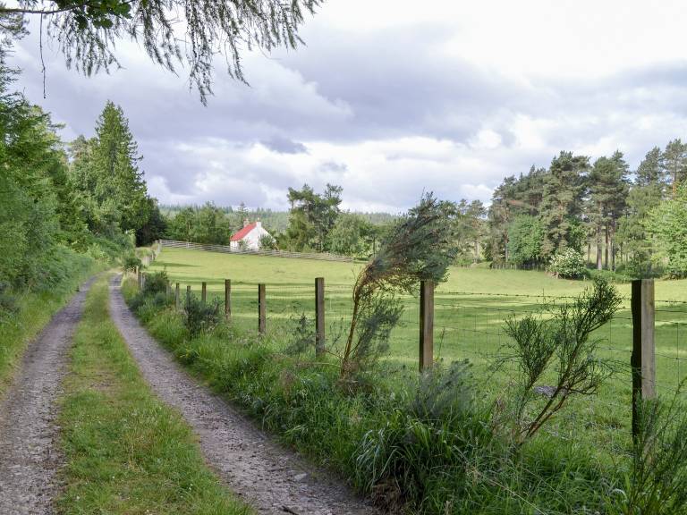 foto12