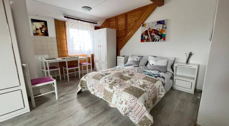 Rental apartment with terrace & yard — photo 2