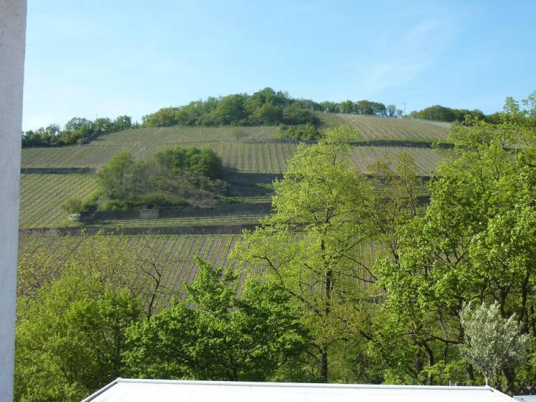 Ferienwohnung Rüdesheim am Rhein