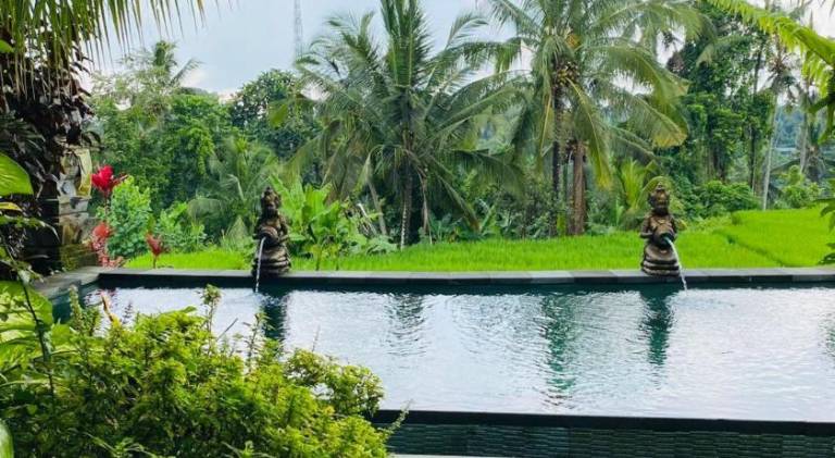 Nia cahya ubud villa in Tegallalang