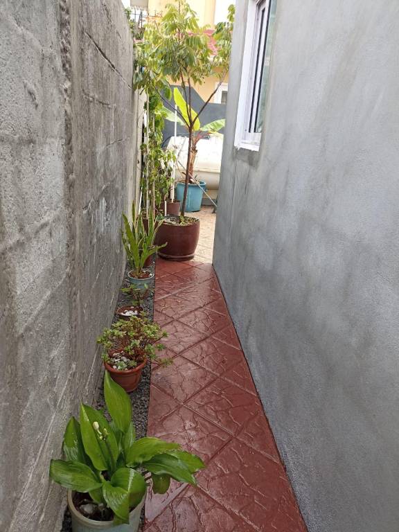 foto19