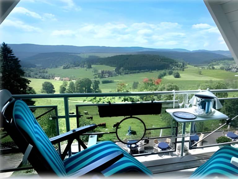 JUFA Hotel Schwarzwald — photo 4
