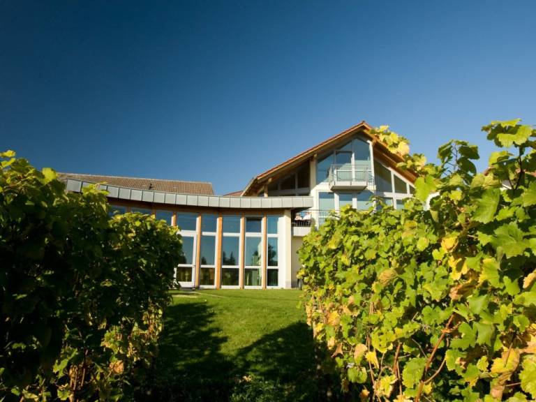 Weingut Helmut Schreieck (St. Martin) — photo 3