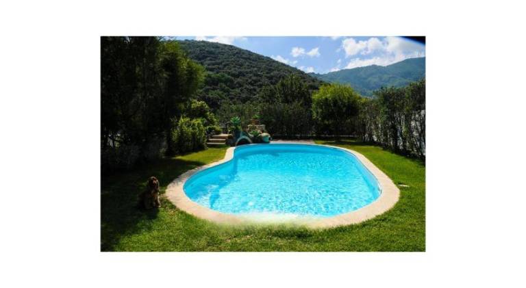 Lovely villa with pool | Pets allowed in Ischia