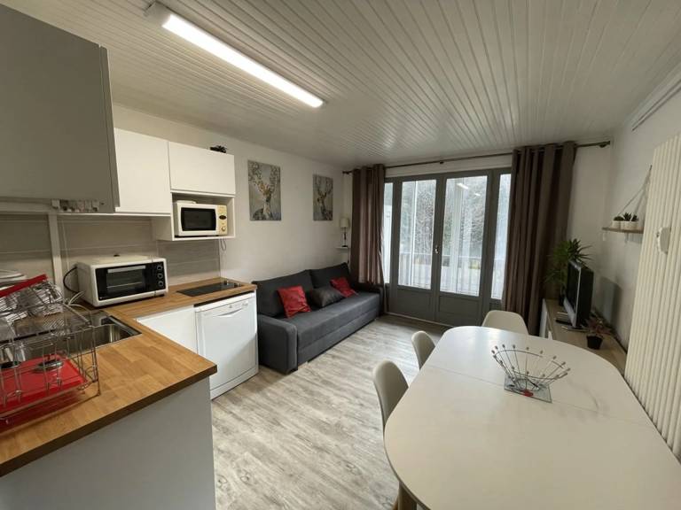 Appartement Le Lioran