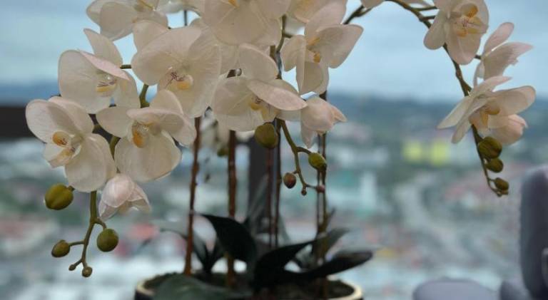 foto43