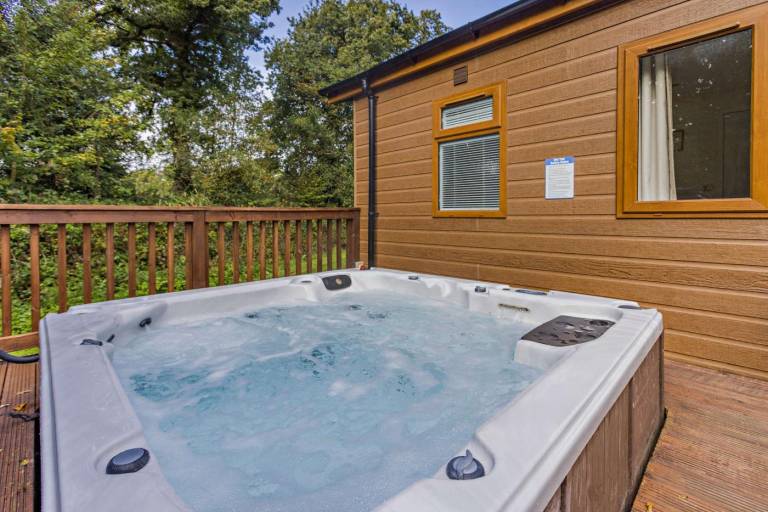 Fully equipped lovely lodge with patio, jacuzzi & yard | Dogs allowed in Okehampton