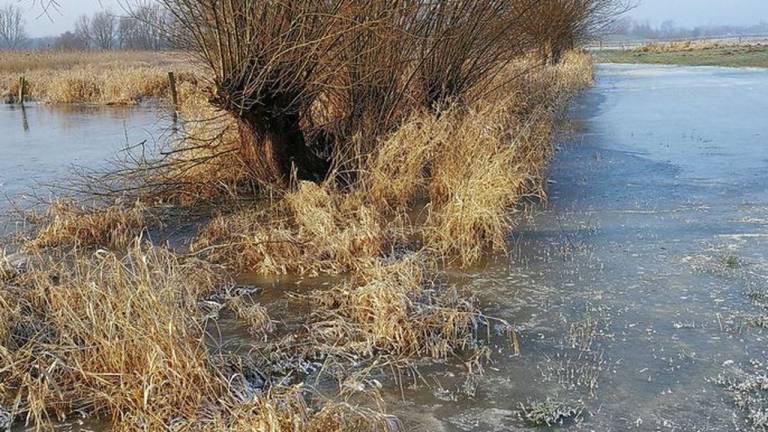 foto19