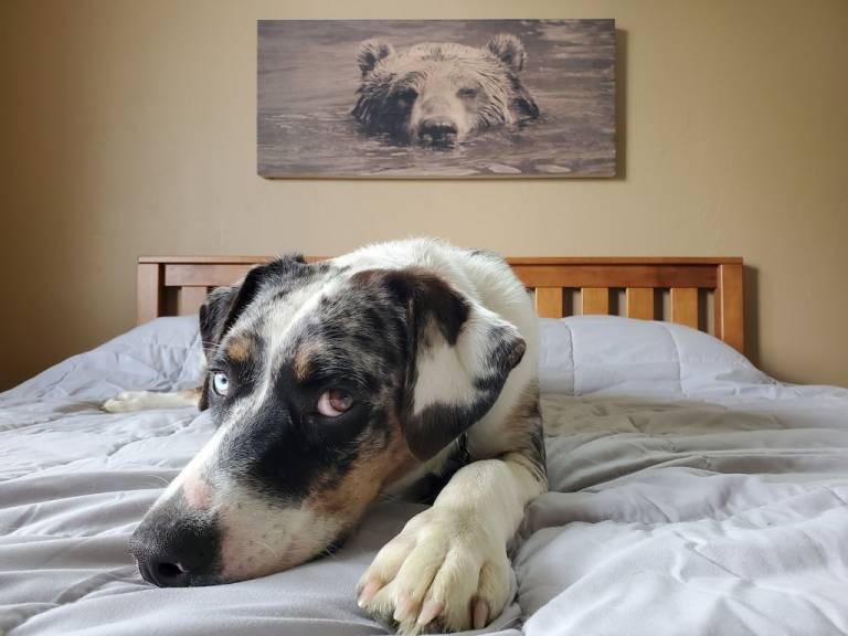 House Grand Junction