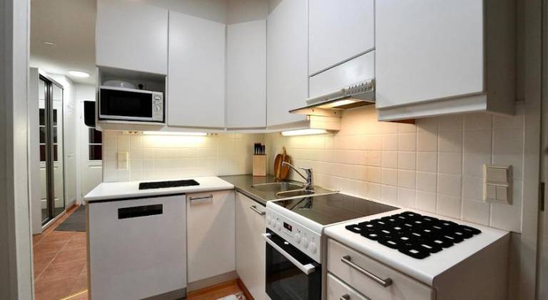 Apartment with sauna — photo 3