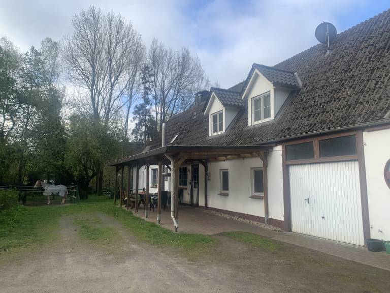 Naturblick Perfekt für Familien mit Hunden — photo 2
