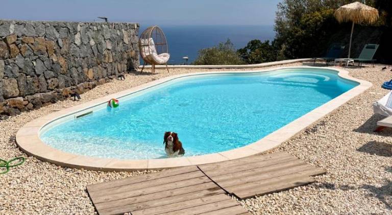 Nice holiday apartment with pool & jacuzzi | Pets allowed — photo 4