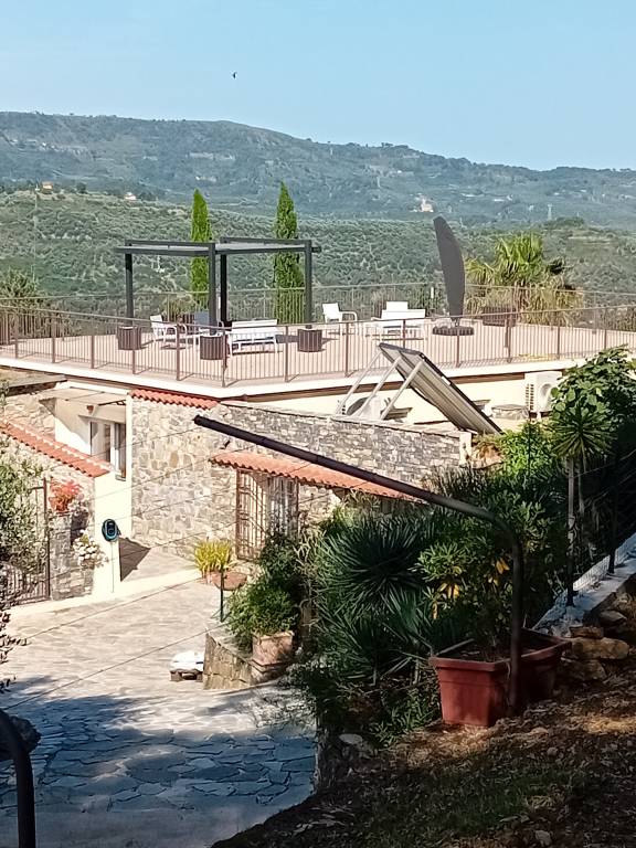 foto1
