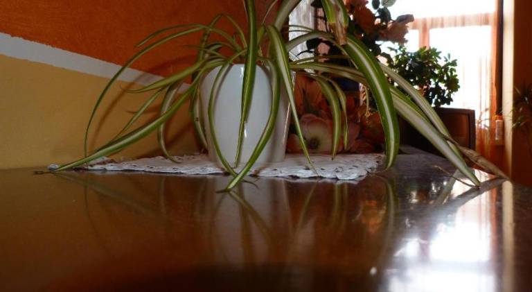 foto13