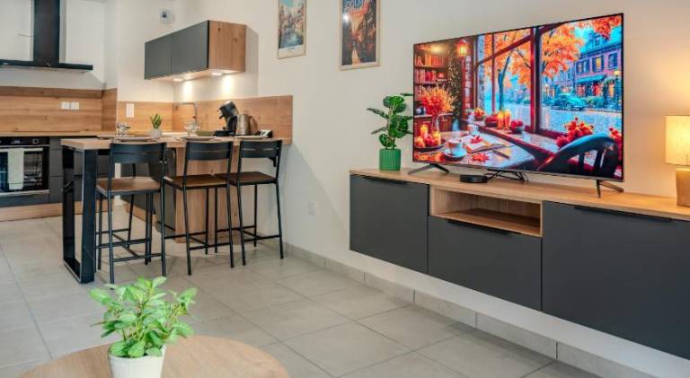 Wonderful apartment with terrace | Pet-friendly in Colmar
