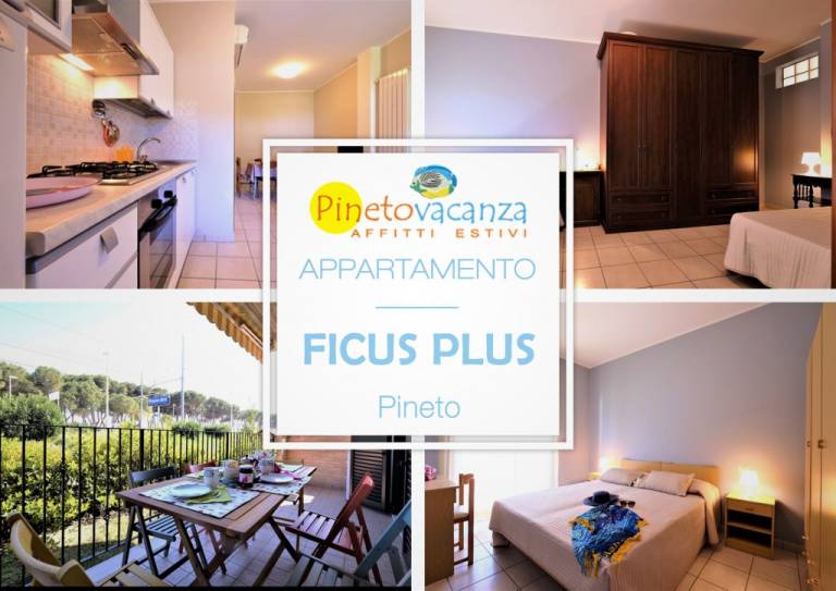 Appartamento Pineto
