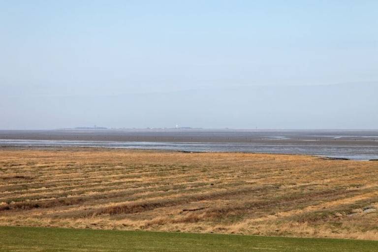     
Ferienwohnung ∙ 3 Gäste ∙ 1 Schlafzimmer
