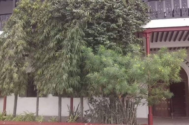 foto14