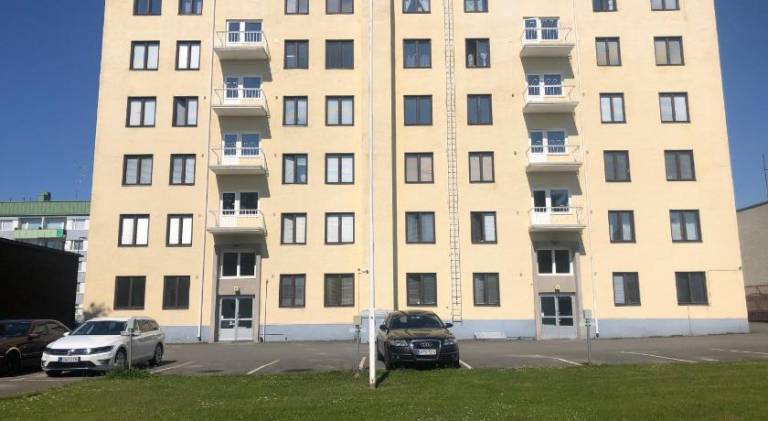 Pleasant holiday apartment | Pet-friendly — photo 4