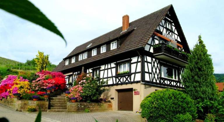 Pension am Weinberg in Seebach