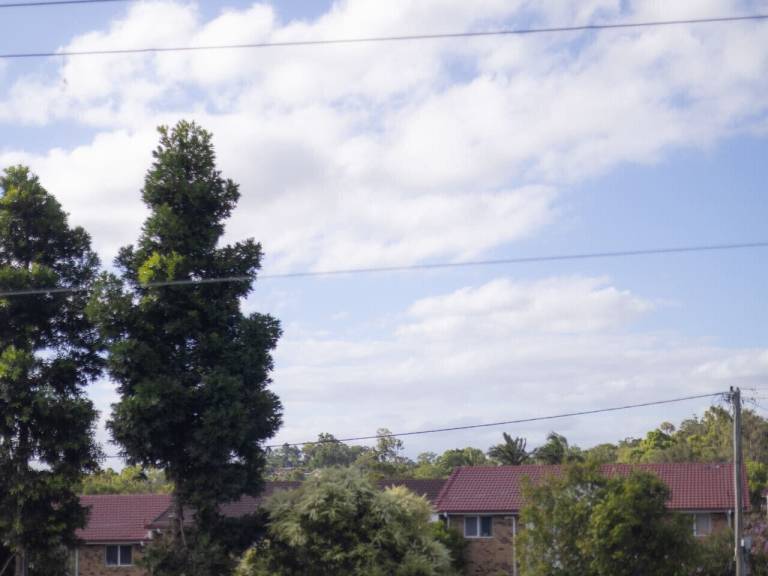 Apartment  Springwood