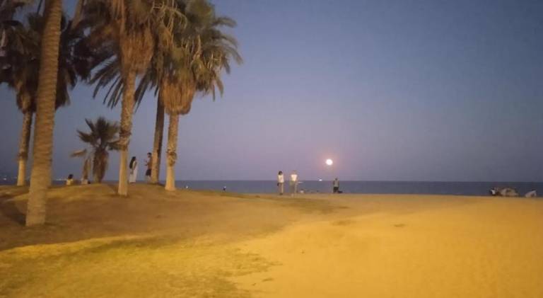 Holiday apartment | Pets allowed in Málaga