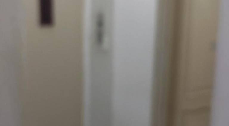 Beautiful holiday apartment | Near São Paulo Museum of Art | Dogs allowed — photo 4