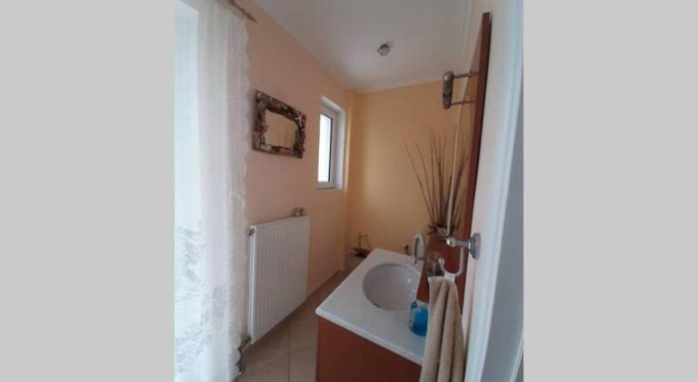 foto19