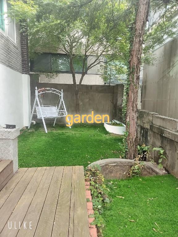 foto19