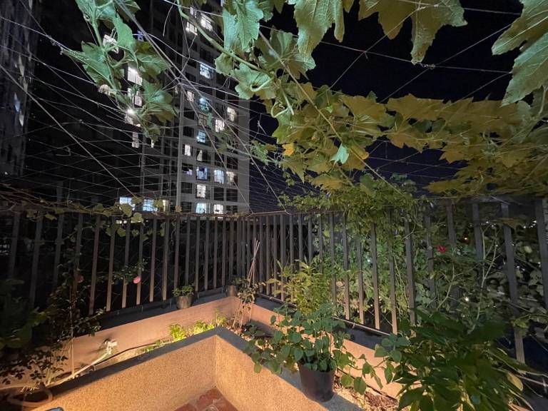 foto46