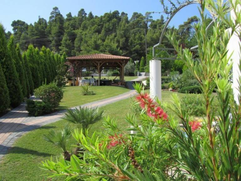 foto4