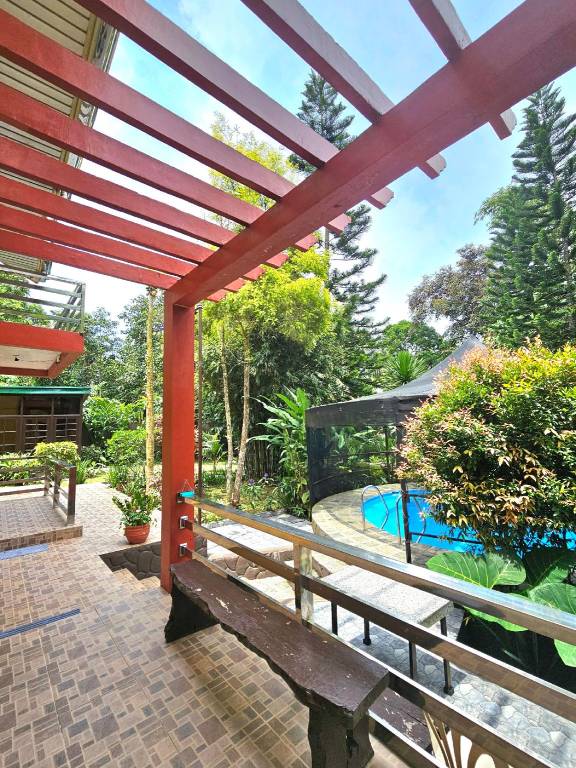 House with pool, grill & garden — photo 4
