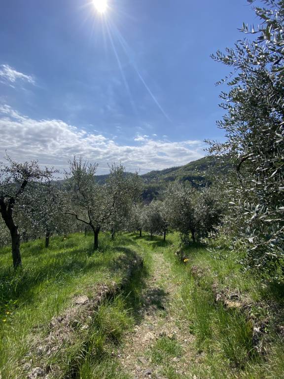 foto21