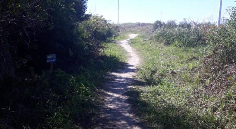 foto21