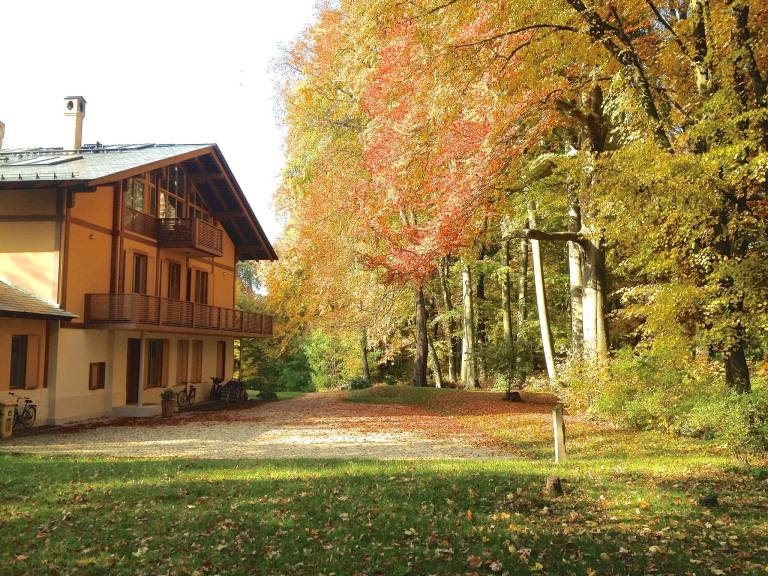 Rental apartment | Close to Babelsberg Palace | Dogs allowed — photo 4