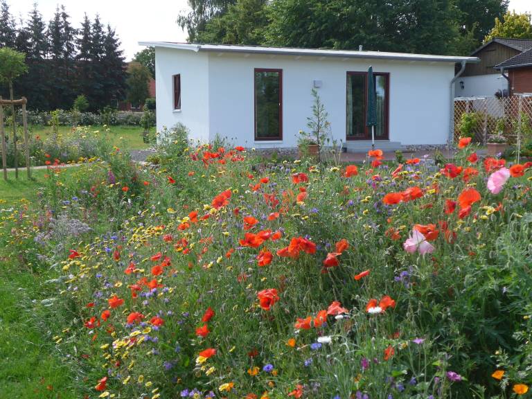 Ferienhaus Bad Oldesloe