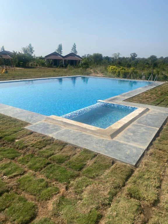 Tuli Orchid - A Boutique Eco Resort — photo 2