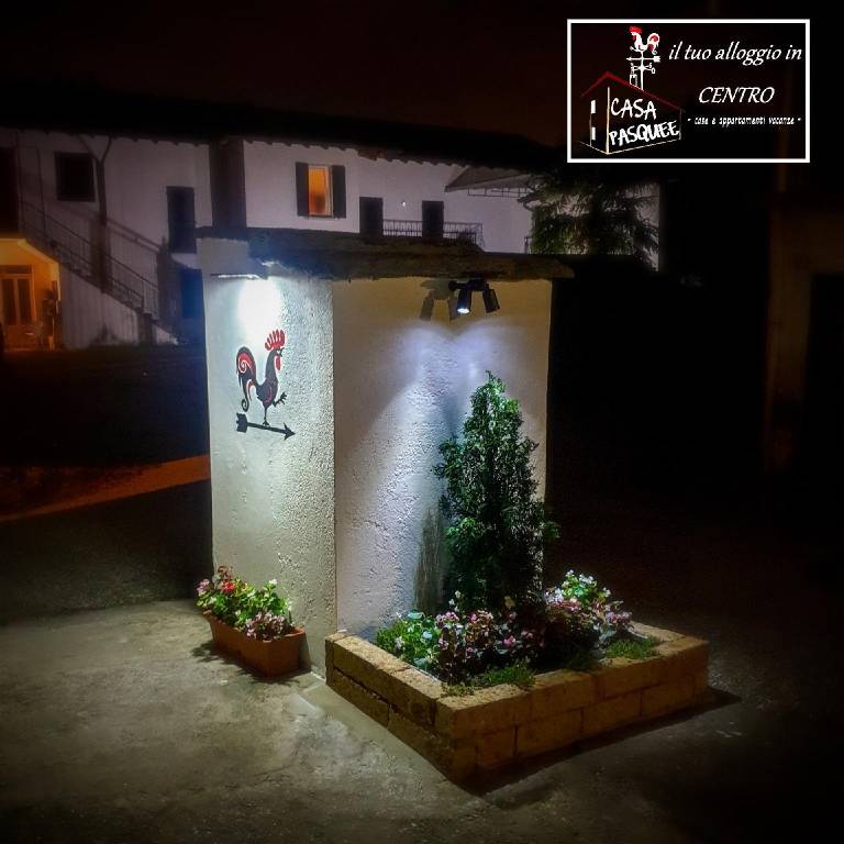 foto41