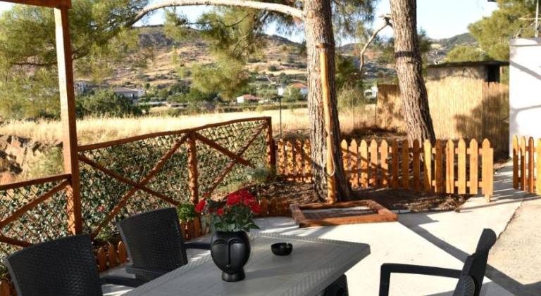 House with garden & terrace — photo 4