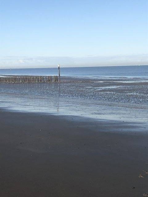 foto15