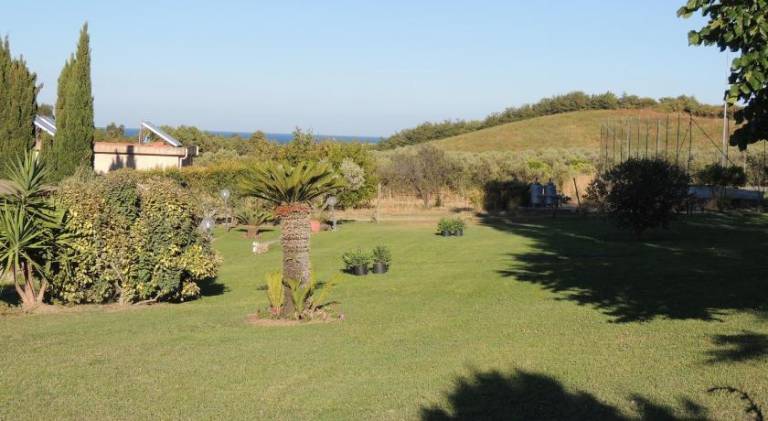 Farm with yard — photo 5