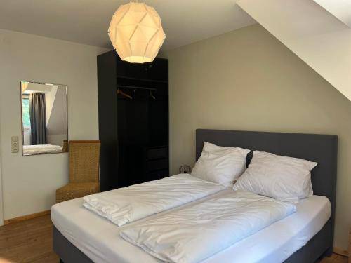 foto18