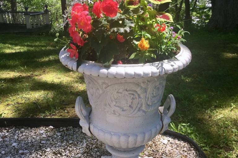 foto16