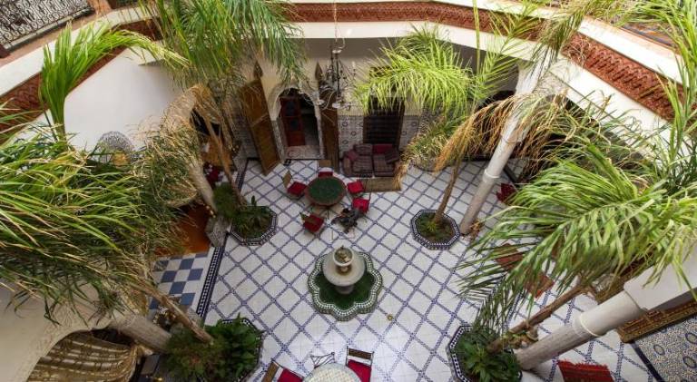 Riad Chennaoui — photo 4