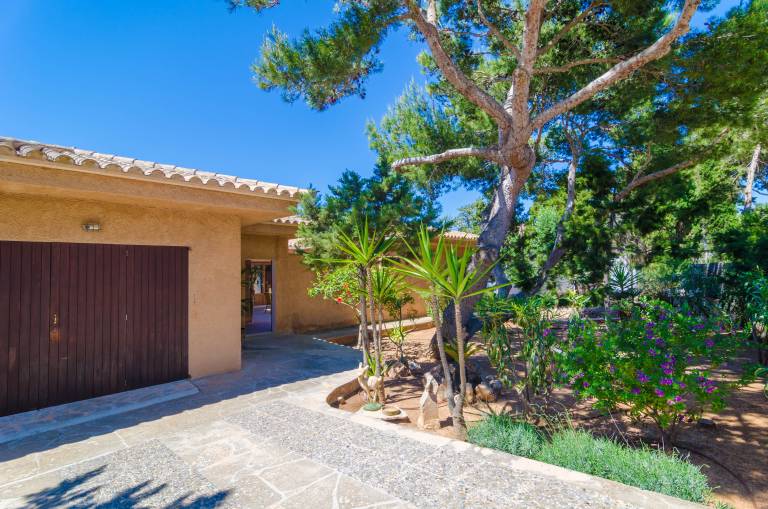 foto35