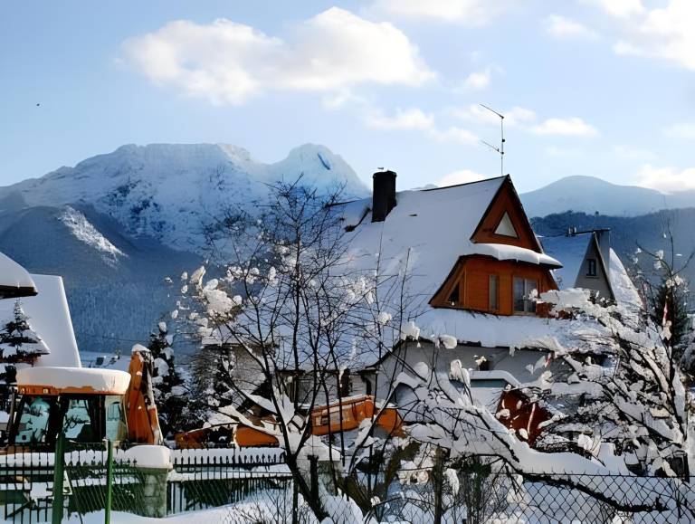 Holiday apartment with yard in Koscielisko
