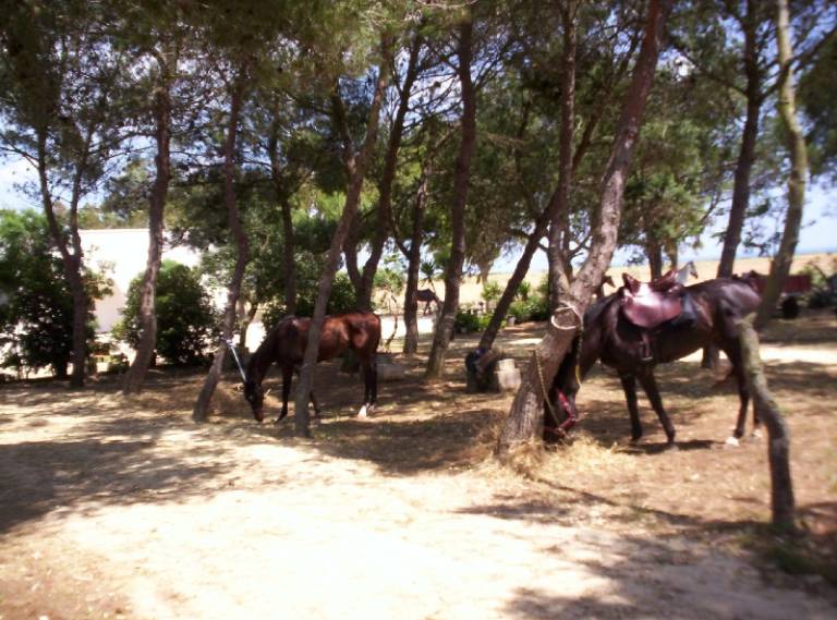 foto37