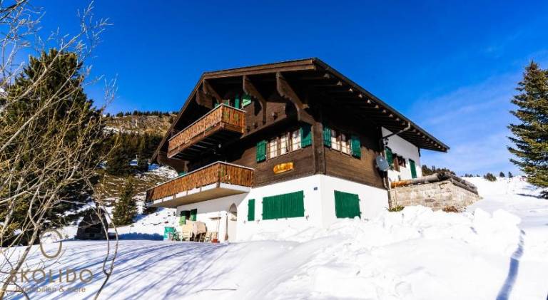Haus Chamihitta, Riederalp Moosfluh — photo 3