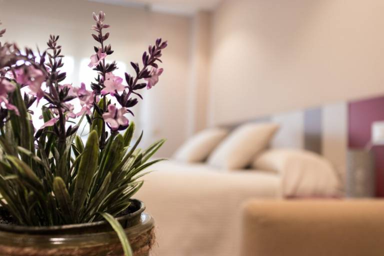 Apartamento Daimiel
