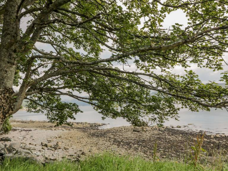 Cottage Tighnabruaich